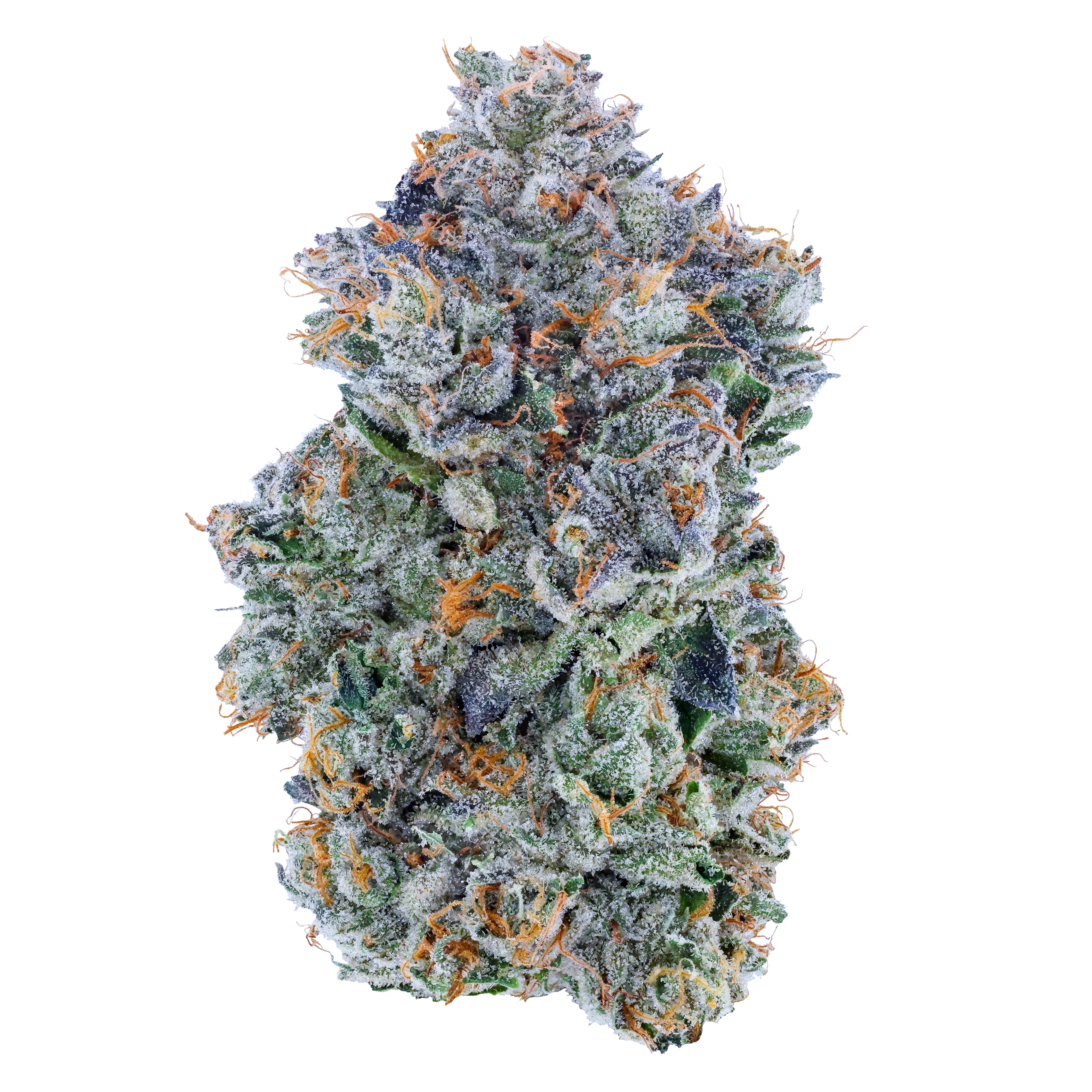 Blue Face Strain | Fig Farms